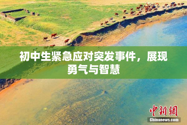 初中生紧急应对突发事件，展现勇气与智慧