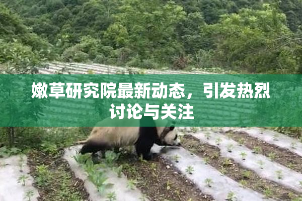 嫩草研究院最新动态，引发热烈讨论与关注