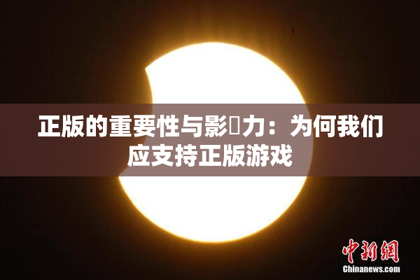 正版的重要性与影響力：为何我们应支持正版游戏