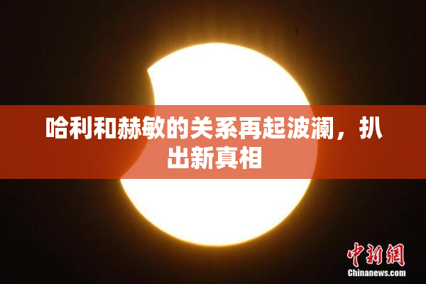 哈利和赫敏的关系再起波澜，扒出新真相
