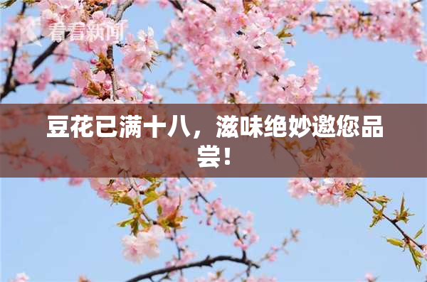 豆花已满十八，滋味绝妙邀您品尝！