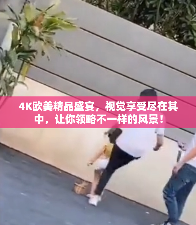 4K欧美精品盛宴，视觉享受尽在其中，让你领略不一样的风景！
