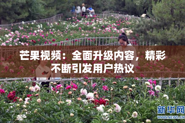 芒果视频：全面升级内容，精彩不断引发用户热议