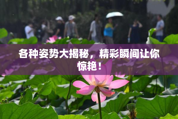 各种姿势大揭秘，精彩瞬间让你惊艳！