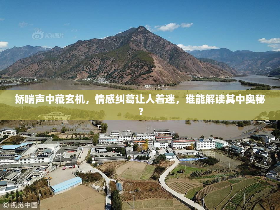 娇喘声中藏玄机，情感纠葛让人着迷，谁能解读其中奥秘？