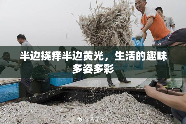 半边挠痒半边黄光，生活的趣味多姿多彩
