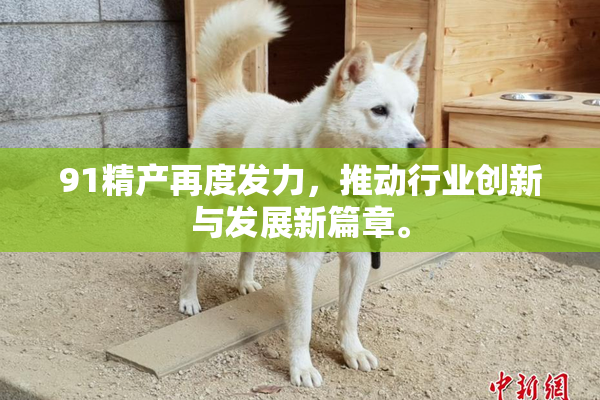 91精产再度发力，推动行业创新与发展新篇章。