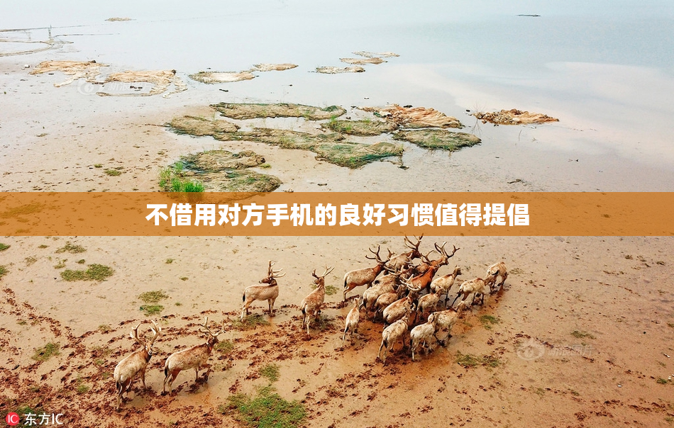 不借用对方手机的良好习惯值得提倡
