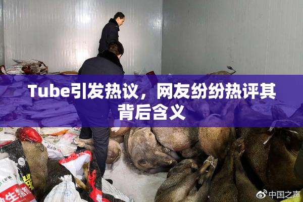 Tube引发热议，网友纷纷热评其背后含义