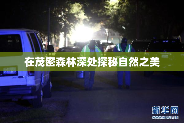 在茂密森林深处探秘自然之美