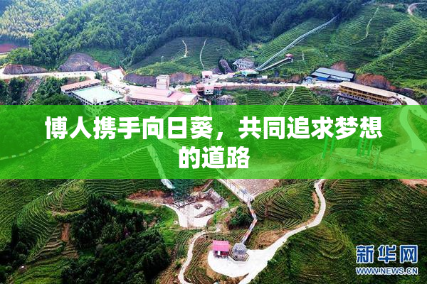 博人携手向日葵，共同追求梦想的道路