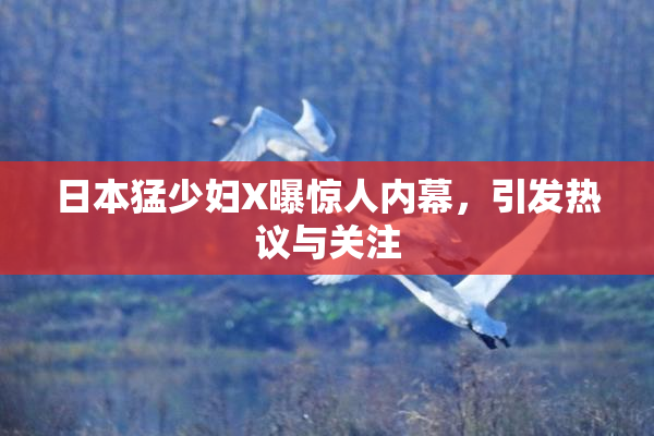 日本猛少妇X曝惊人内幕，引发热议与关注