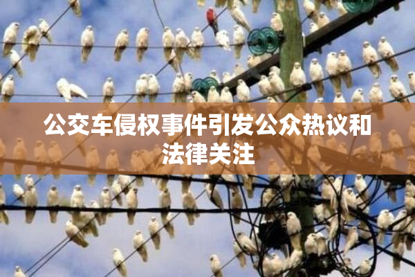 公交车侵权事件引发公众热议和法律关注