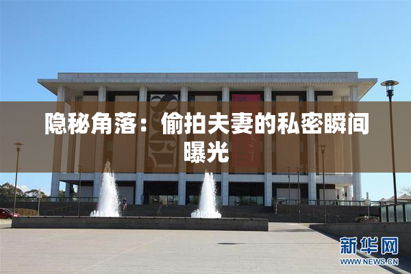隐秘角落：偷拍夫妻的私密瞬间曝光