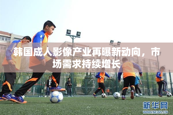 韩国成人影像产业再曝新动向，市场需求持续增长