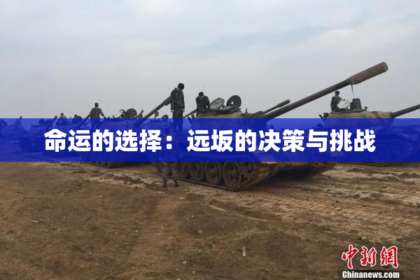 命运的选择：远坂的决策与挑战