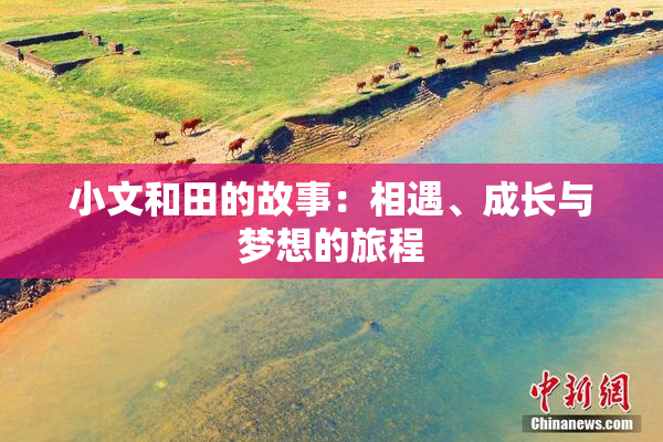 小文和田的故事：相遇、成长与梦想的旅程