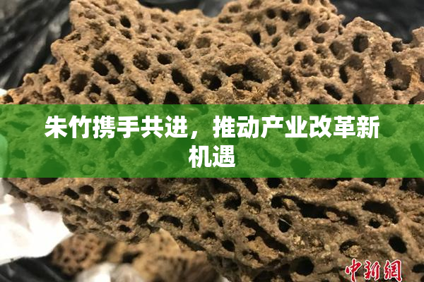 朱竹携手共进，推动产业改革新机遇