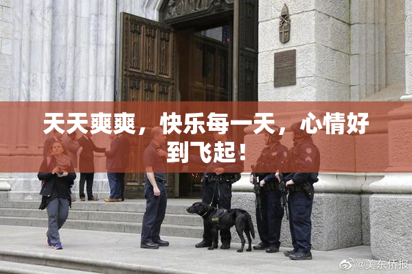 天天爽爽，快乐每一天，心情好到飞起！