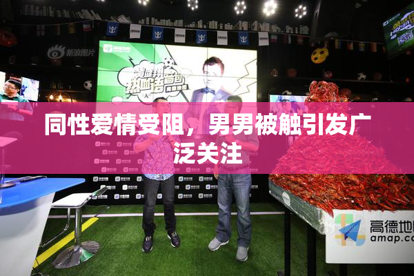 同性爱情受阻，男男被触引发广泛关注
