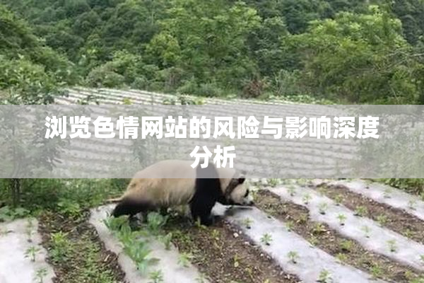 浏览色情网站的风险与影响深度分析