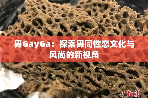 男GayGa：探索男同性恋文化与风尚的新视角