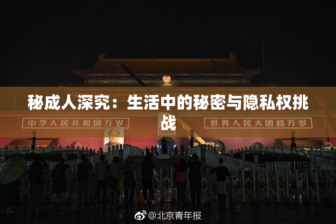 秘成人深究：生活中的秘密与隐私权挑战