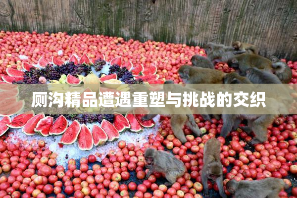 厕沟精品遭遇重塑与挑战的交织