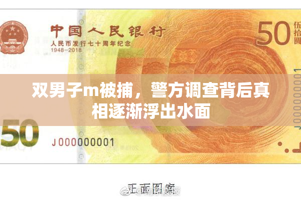 双男子m被捕，警方调查背后真相逐渐浮出水面