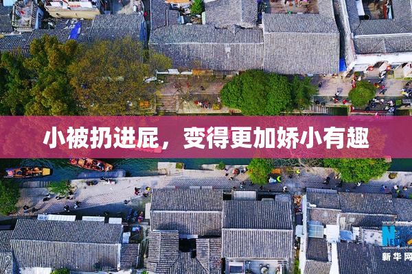 小被扔进屁，变得更加娇小有趣
