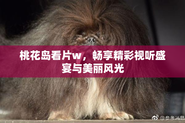 桃花岛看片w，畅享精彩视听盛宴与美丽风光
