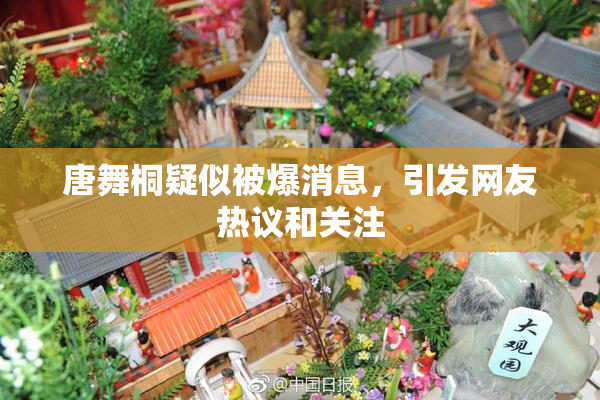 唐舞桐疑似被爆消息，引发网友热议和关注