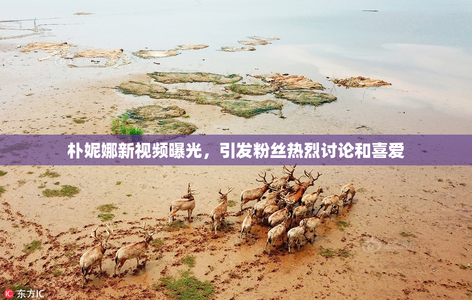 朴妮娜新视频曝光，引发粉丝热烈讨论和喜爱