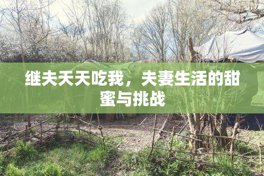 继夫天天吃我，夫妻生活的甜蜜与挑战