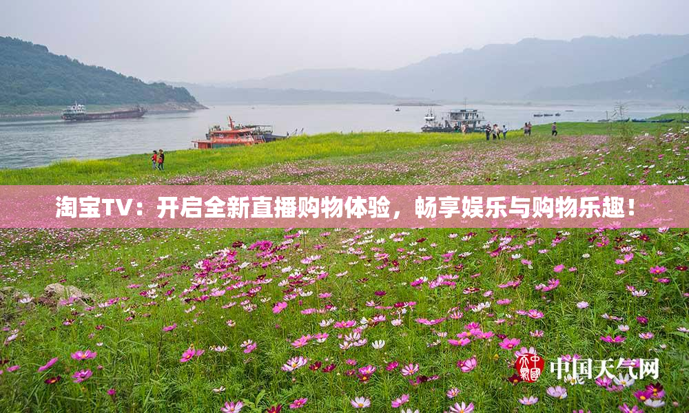 淘宝TV：开启全新直播购物体验，畅享娱乐与购物乐趣！
