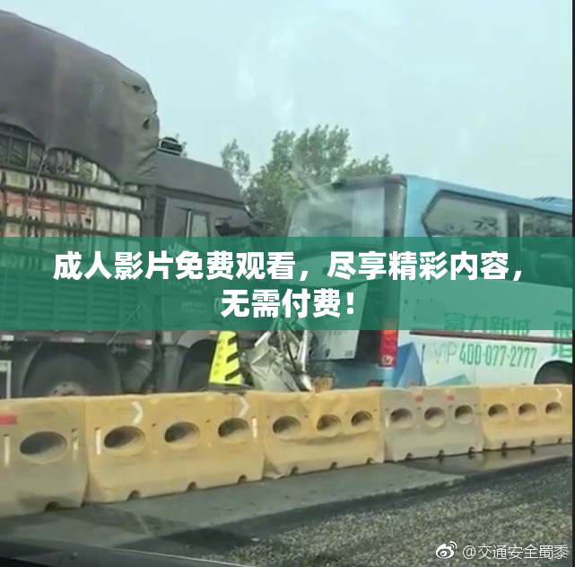 成人影片免费观看，尽享精彩内容，无需付费！