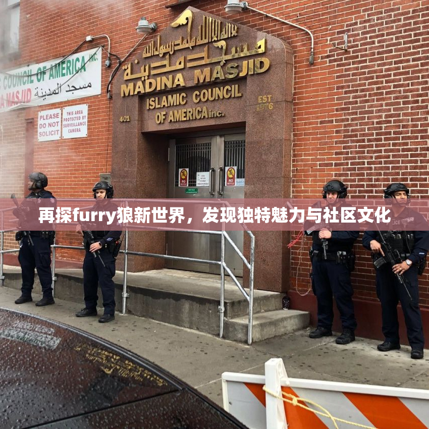 再探furry狼新世界，发现独特魅力与社区文化