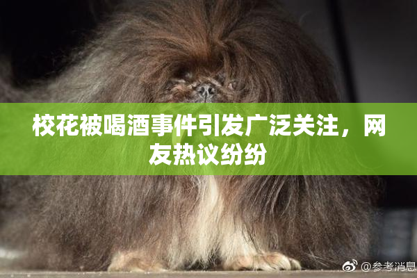 校花被喝酒事件引发广泛关注，网友热议纷纷