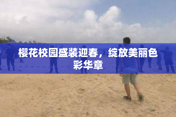 樱花校园盛装迎春，绽放美丽色彩华章