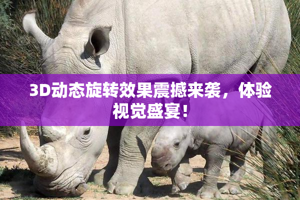 3D动态旋转效果震撼来袭，体验视觉盛宴！