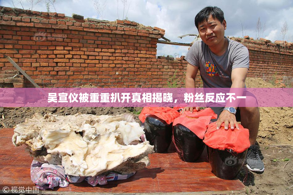 吴宣仪被重重扒开真相揭晓，粉丝反应不一