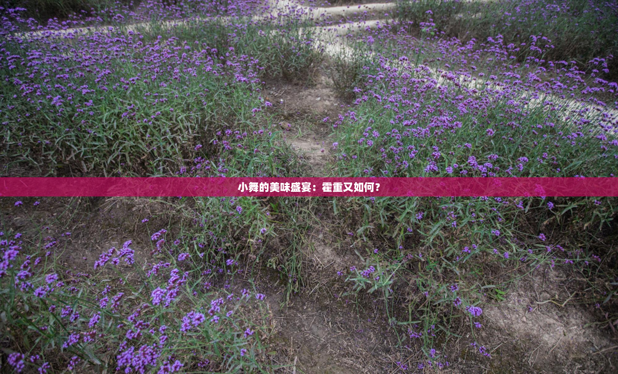 小舞的美味盛宴：霍重又如何？