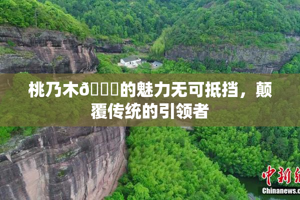 桃乃木💋的魅力无可抵挡，颠覆传统的引领者