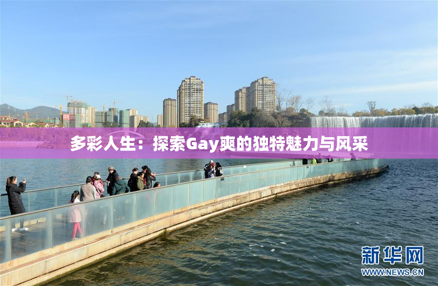 多彩人生：探索Gay爽的独特魅力与风采
