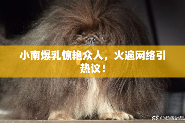 小南爆乳惊艳众人，火遍网络引热议！
