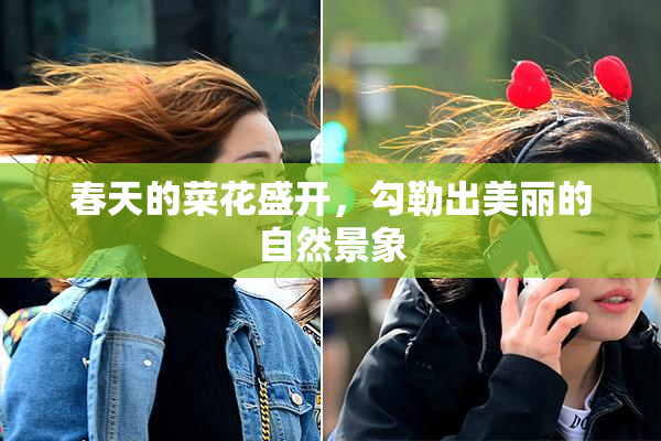 春天的菜花盛开，勾勒出美丽的自然景象