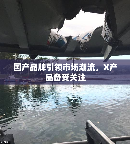 国产品牌引领市场潮流，X产品备受关注
