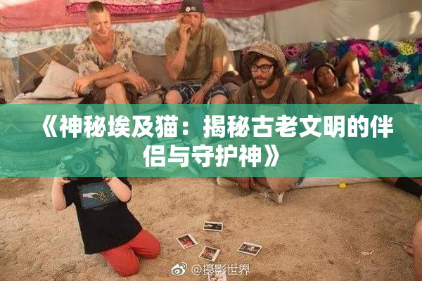 《神秘埃及猫：揭秘古老文明的伴侣与守护神》