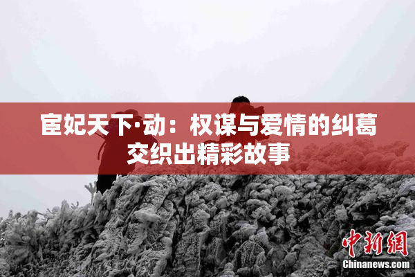 宦妃天下·动：权谋与爱情的纠葛交织出精彩故事