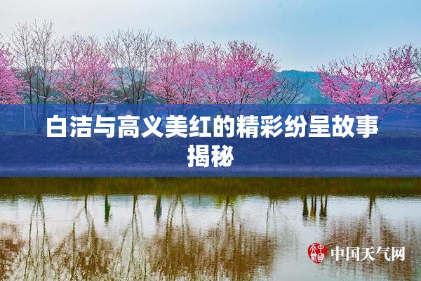 白洁与高义美红的精彩纷呈故事揭秘
